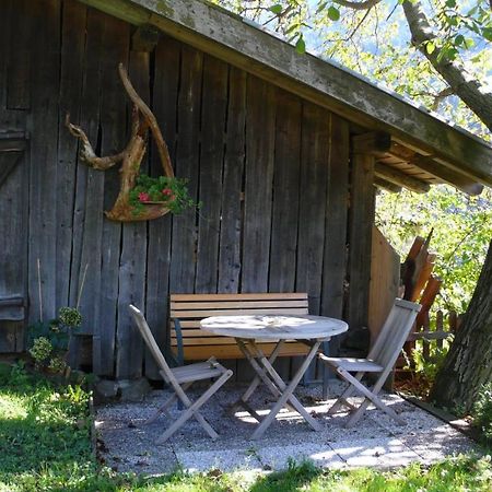Obergereuth Hof 1288 Appartement San Martino di Castrozza Buitenkant foto