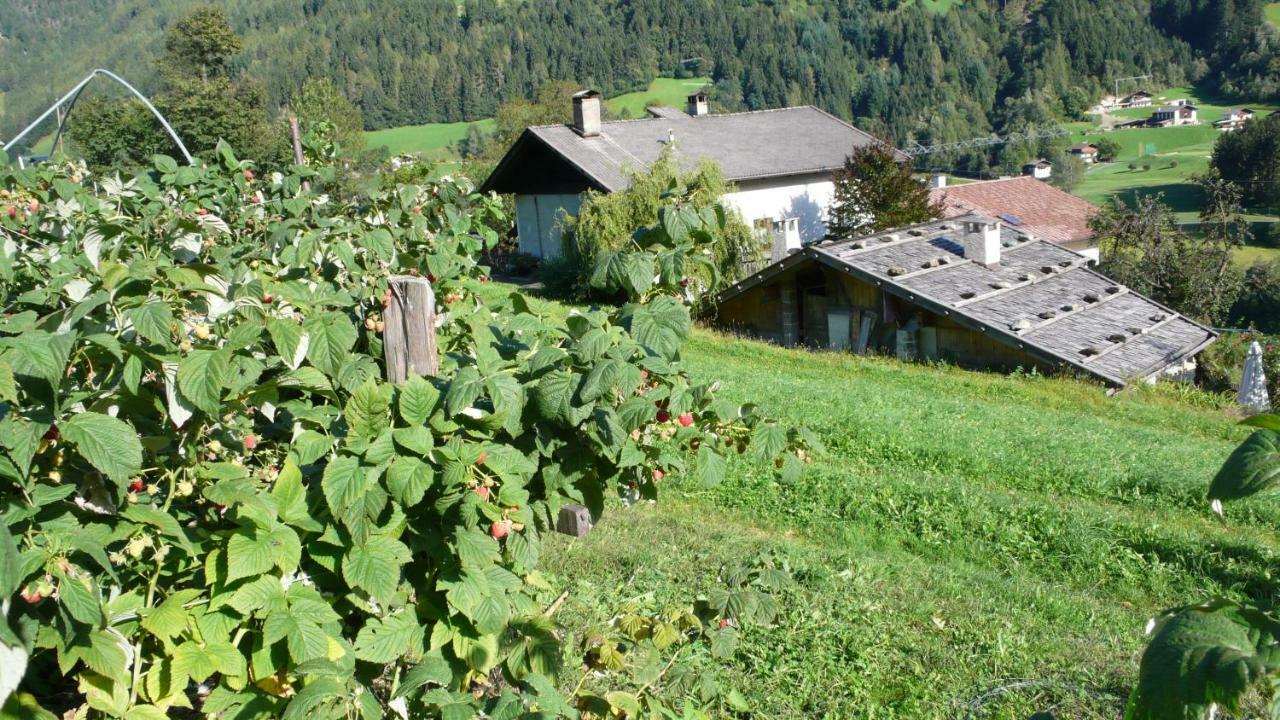 Obergereuth Hof 1288 Appartement San Martino di Castrozza Buitenkant foto