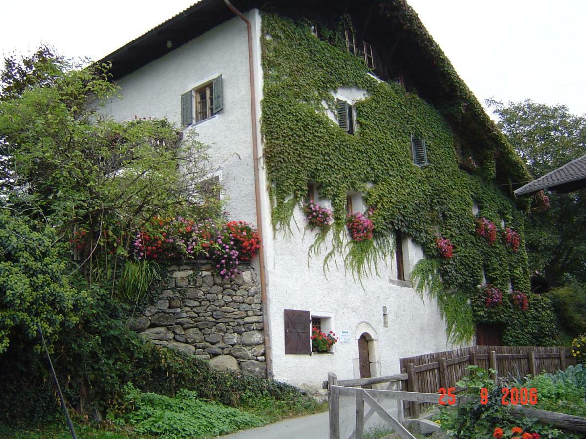 Obergereuth Hof 1288 Appartement San Martino di Castrozza Buitenkant foto