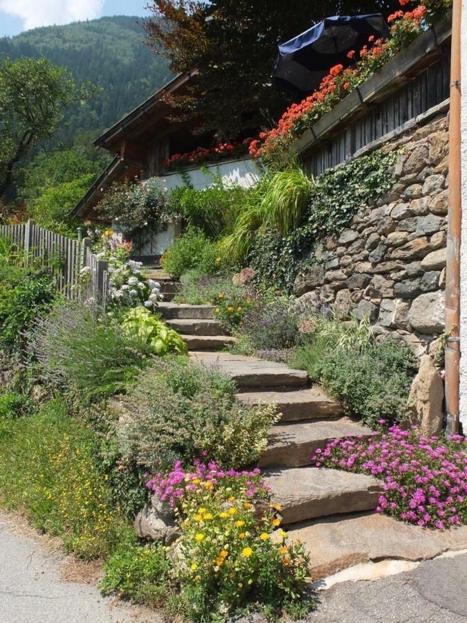 Obergereuth Hof 1288 Appartement San Martino di Castrozza Buitenkant foto