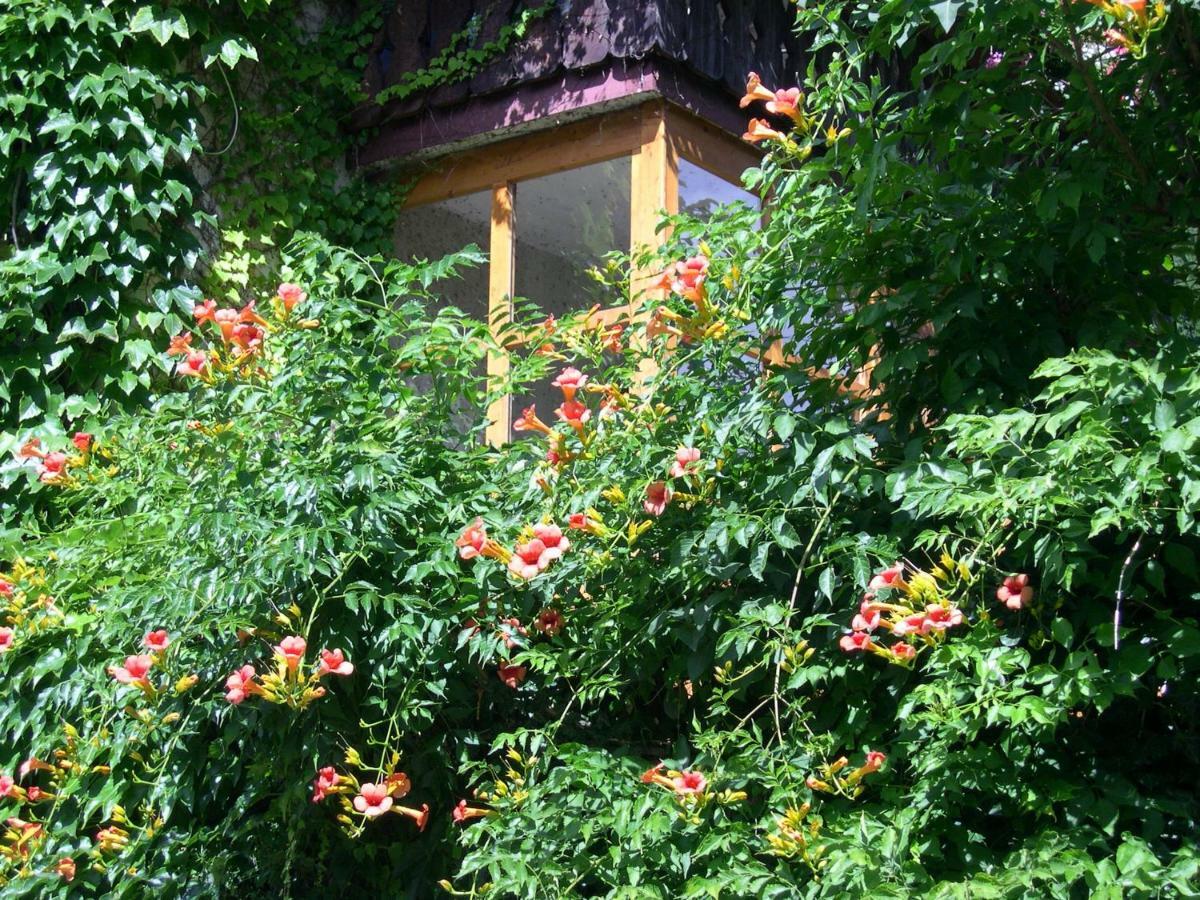 Obergereuth Hof 1288 Appartement San Martino di Castrozza Buitenkant foto
